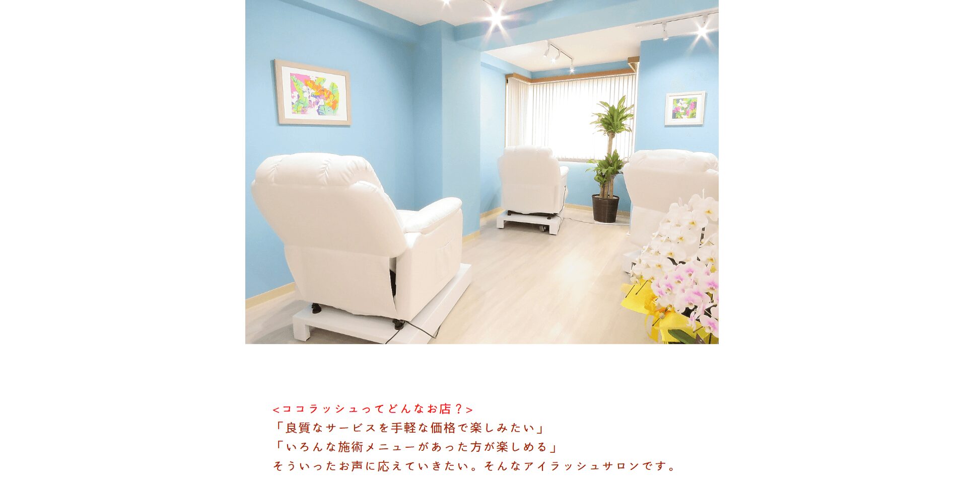 cocolash（ココラッシュ）の画像