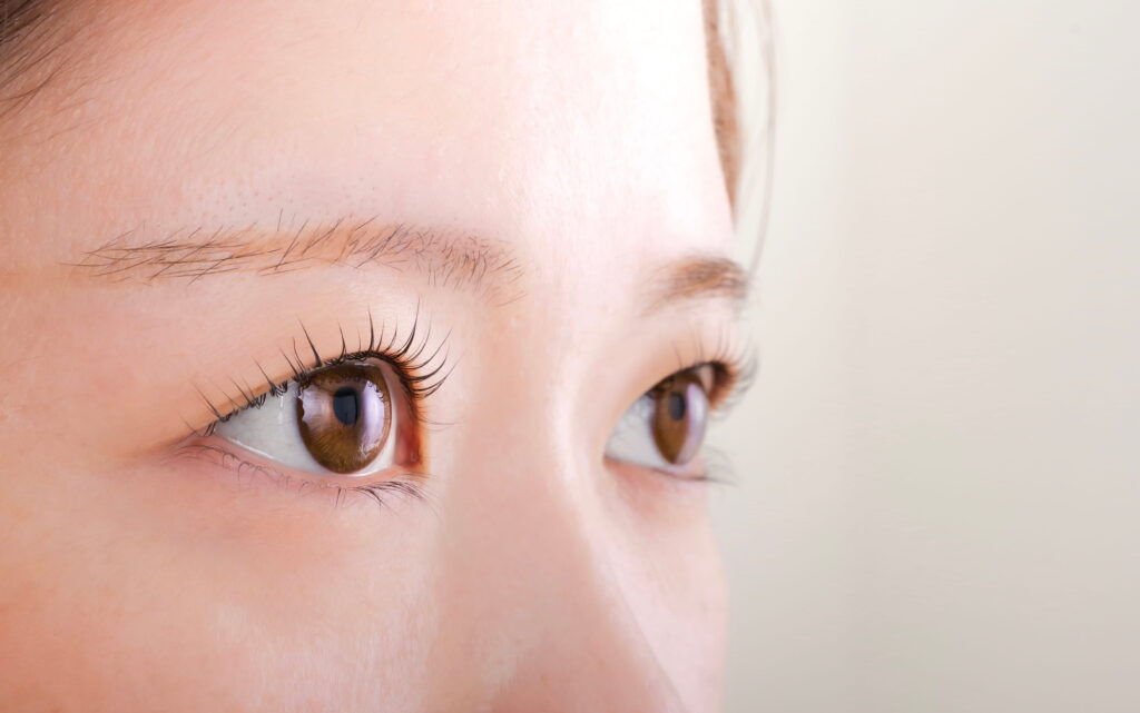 アイリスト　アイブロウリスト